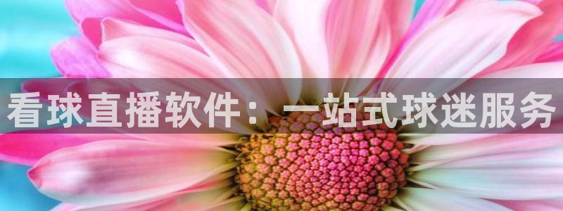 东京绿茵足球：看球直播软件：一站式球迷服务
