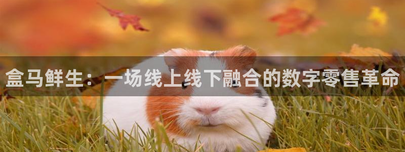 绿茵直播体育免费观看：盒马鲜生：一场线上线下融合的数字零售革命