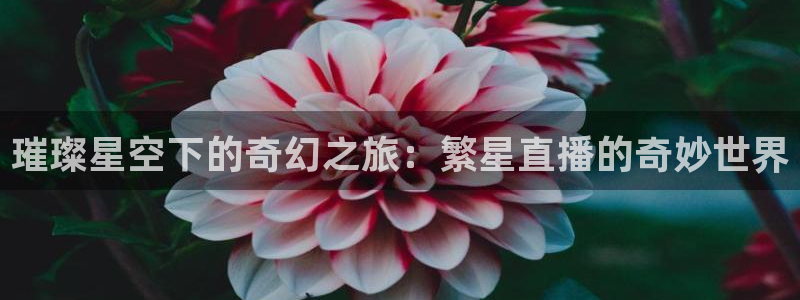 绿茵直播官网：璀璨星空下的奇幻之旅：繁星直播的奇妙世界