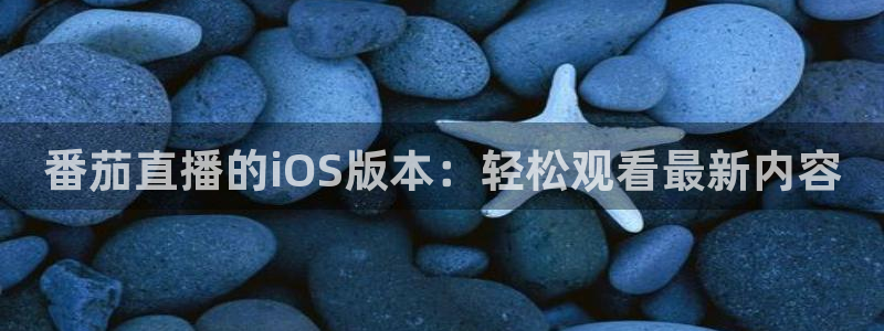 球球看绿茵：番茄直播的iOS版本：轻松观看最新内容
