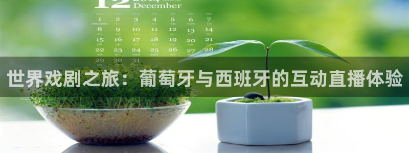 足球直播绿茵直播：世界戏剧之旅：葡萄牙与西班牙的互动直播体验