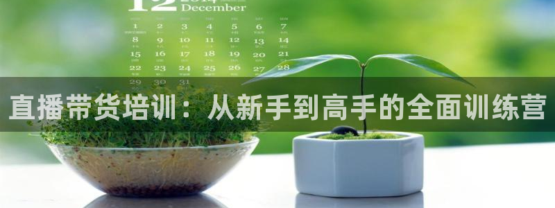 绿茵体育app官网入口：直播带货培训：从新手到高手的全面训练营