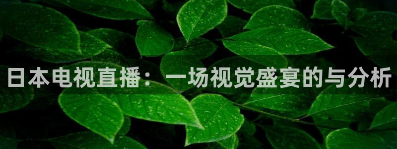 绿茵直播体育在线观看免费高清：日本电视直播：一场视觉盛宴的与分析