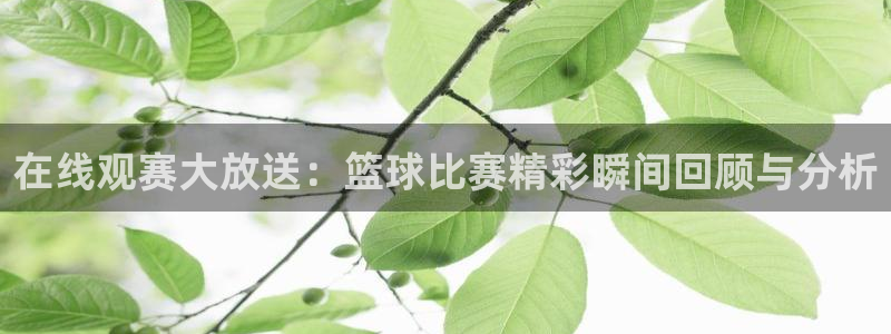 绿茵体育直播官网下载：在线观赛大放送：篮球比赛精彩瞬间回顾与分析