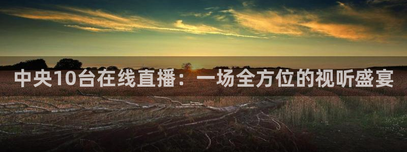 绿茵直播nba：中央10台在线直播：一场全方位的视听盛宴